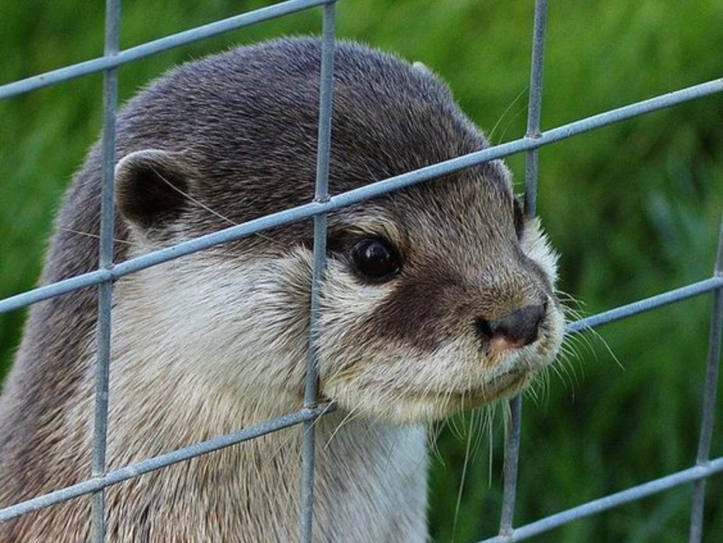 The World of&nbsp;Alone